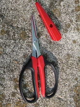 ARS Handy Craft Scissor