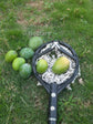 Fruit Picker Head Basket Lightweight