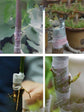 Grafting Paper Roll (1 Inch )