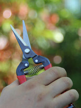 ARS Fruit Pruner