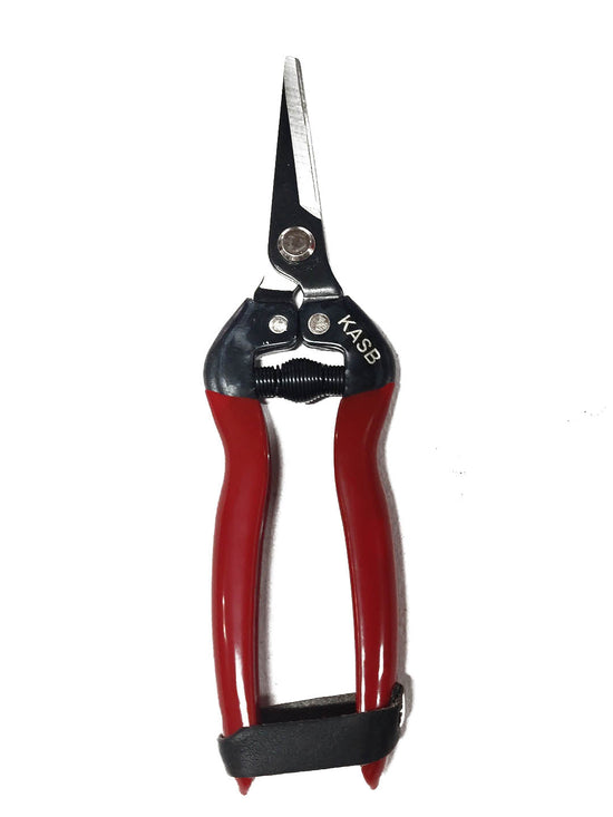 Stainless Steel Fruit Pruner Red and Black (Handle) color 