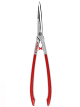ARS Hedge Shears