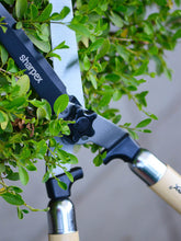 9 Inch Hedge Shear