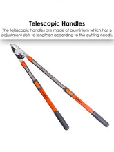Telescopic Bypass Lopping Shear
