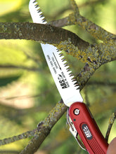 ARS Folding Saw