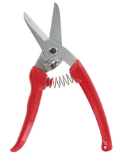 ARS Semi Professional Secateur
