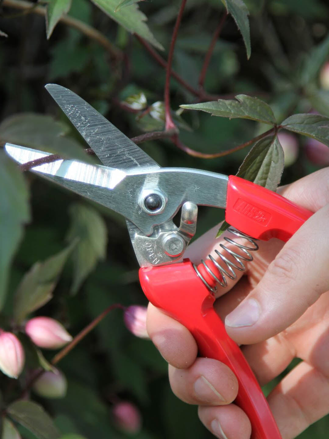 ARS Semi Professional Secateur