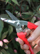 ARS Semi Professional Secateur