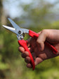 ARS Semi Professional Secateur