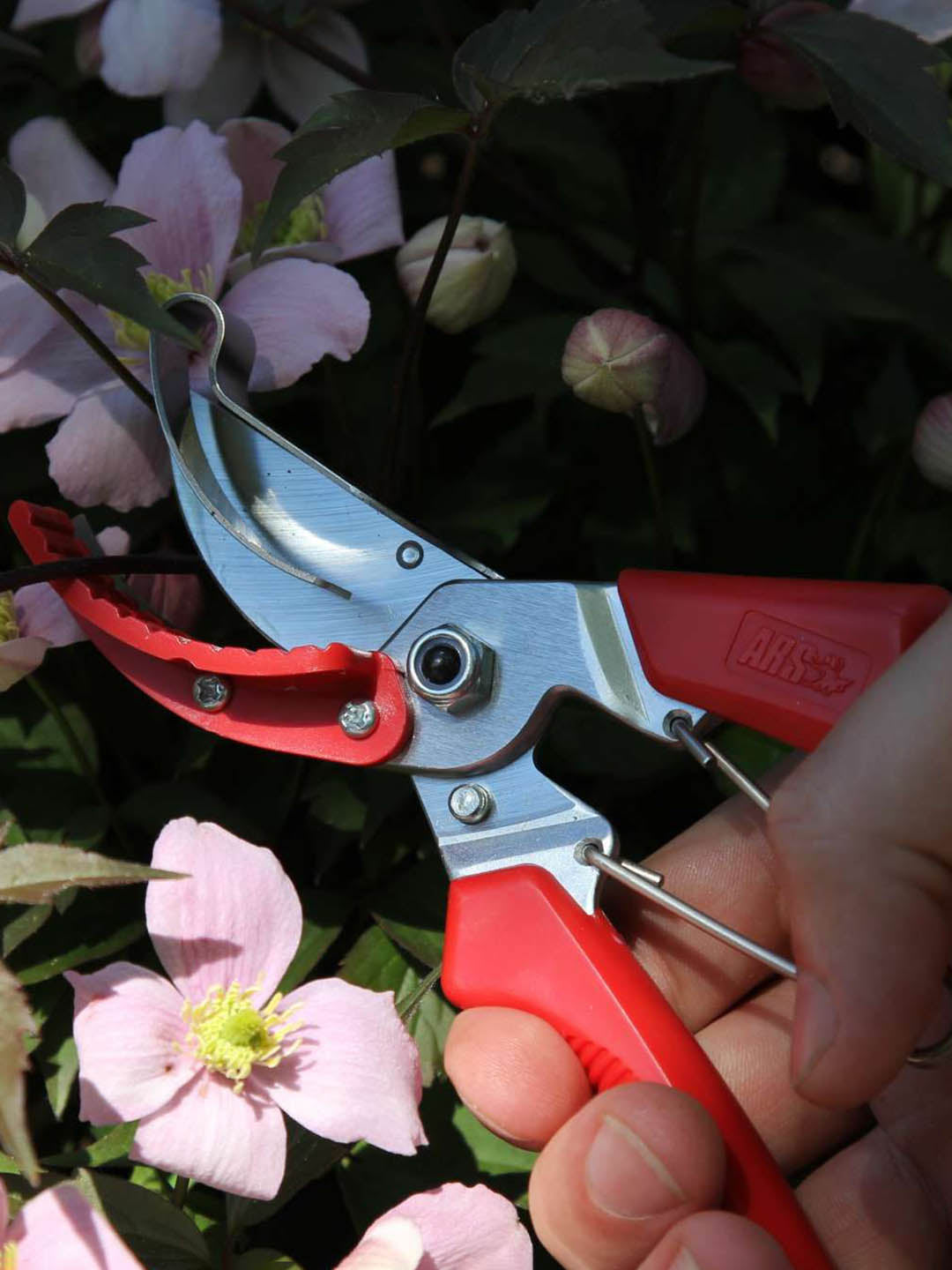 ARS Semi Professional Secateur