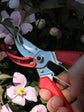 ARS Semi Professional Secateur