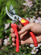 ARS Semi Professional Secateur