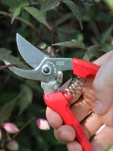 ARS Semi Professional Secateur