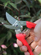 ARS Semi Professional Secateur