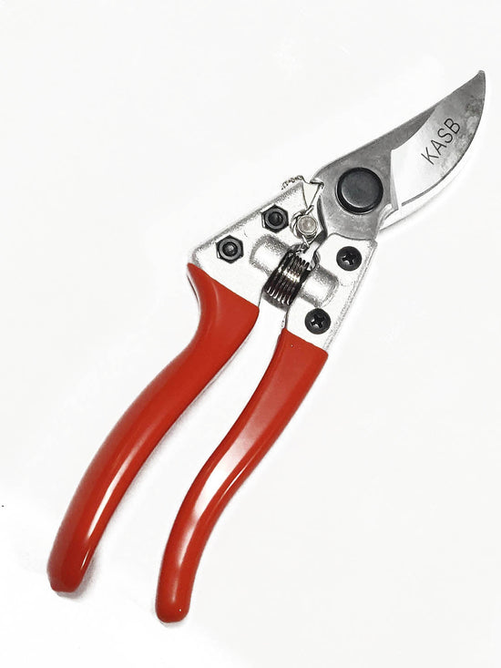 High Carbon Steel with Hard Chrome Plating Professional Secateur Red (Handle) color 