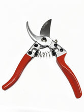 Professional Secateur