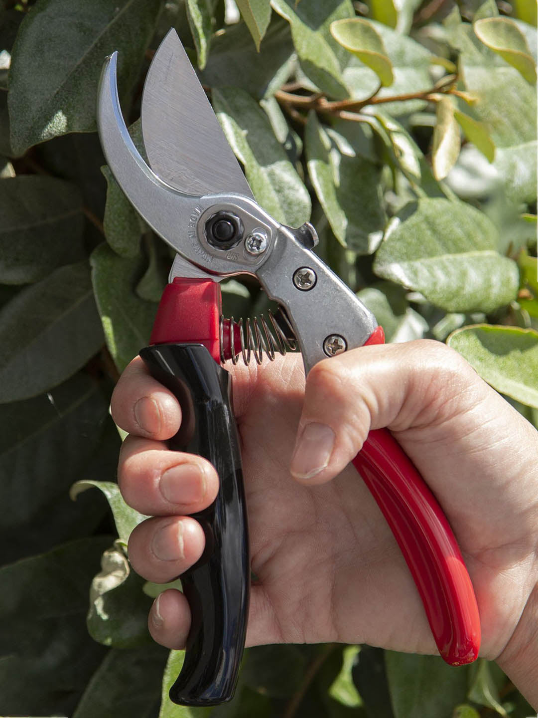 ARS Professional Heavy Duty Secateur w/Rotating Handle