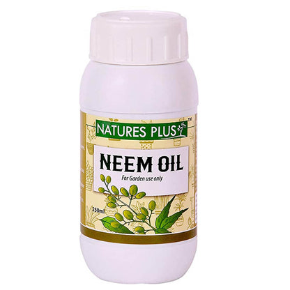 Neem Oil