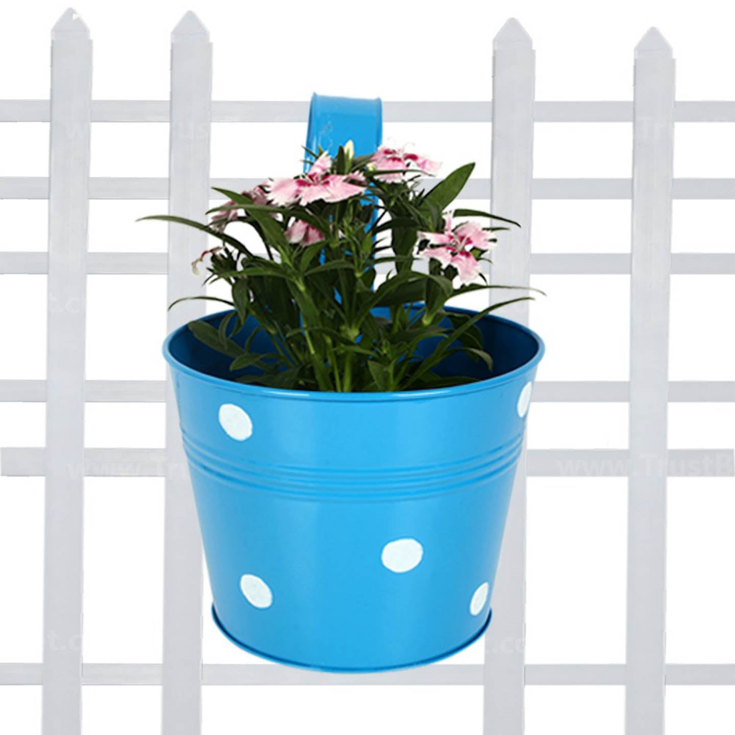 Dotted Metal Railing Planter
