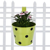 Dotted Metal Railing Planter
