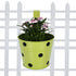 Dotted Metal Railing Planter