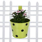 Dotted Metal Railing Planter