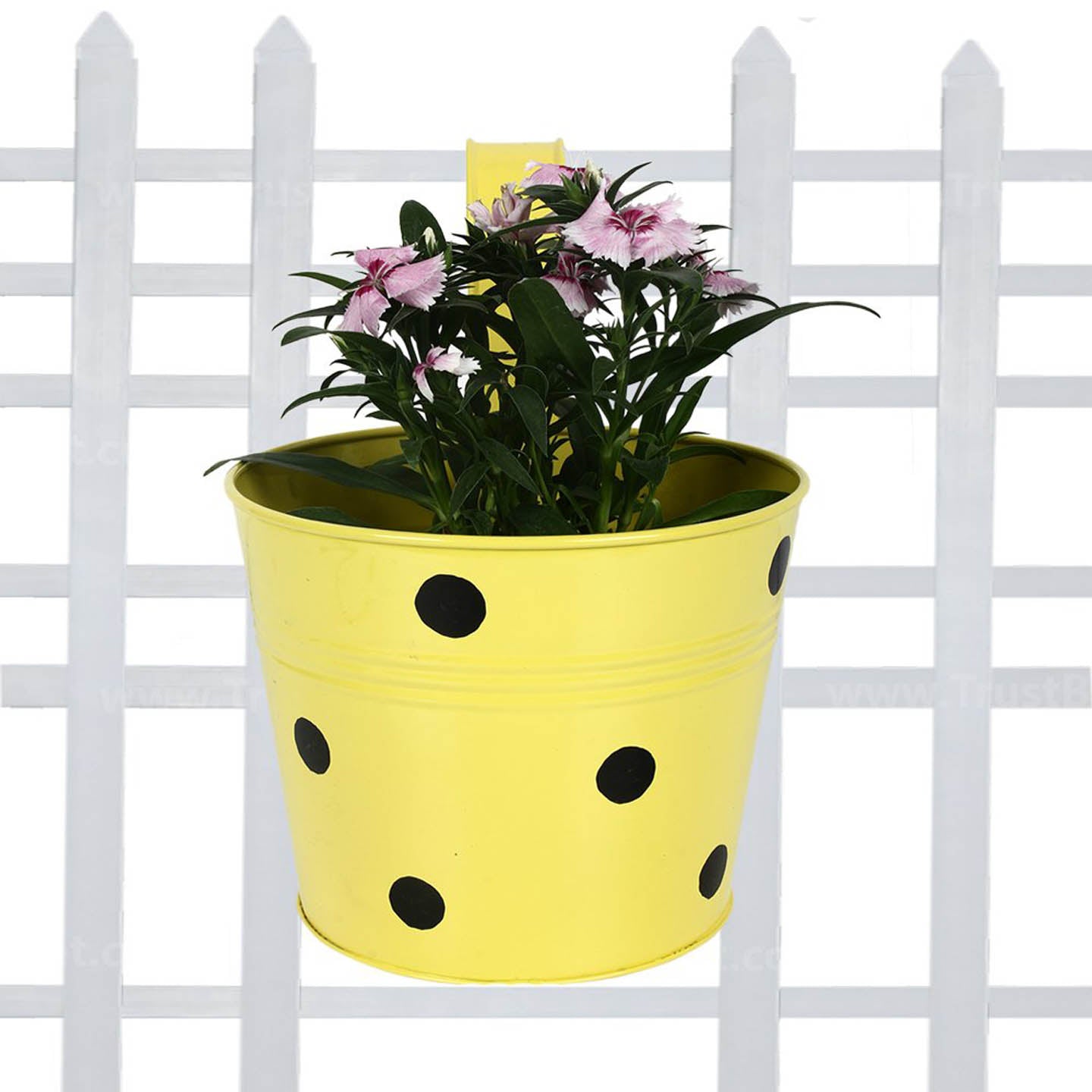 Dotted Metal Railing Planter