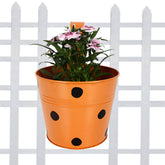 Dotted Metal Railing Planter