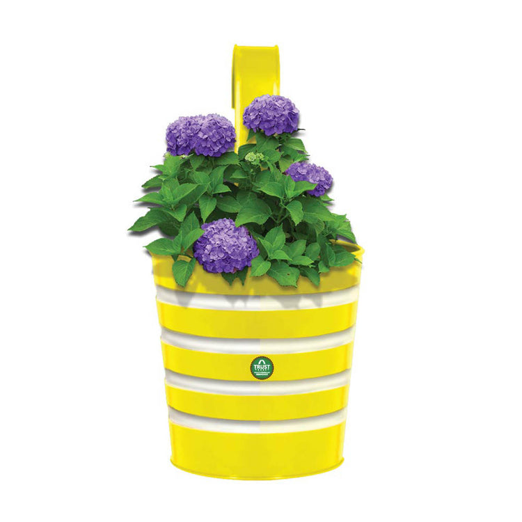 Striped Metal Railing Planter