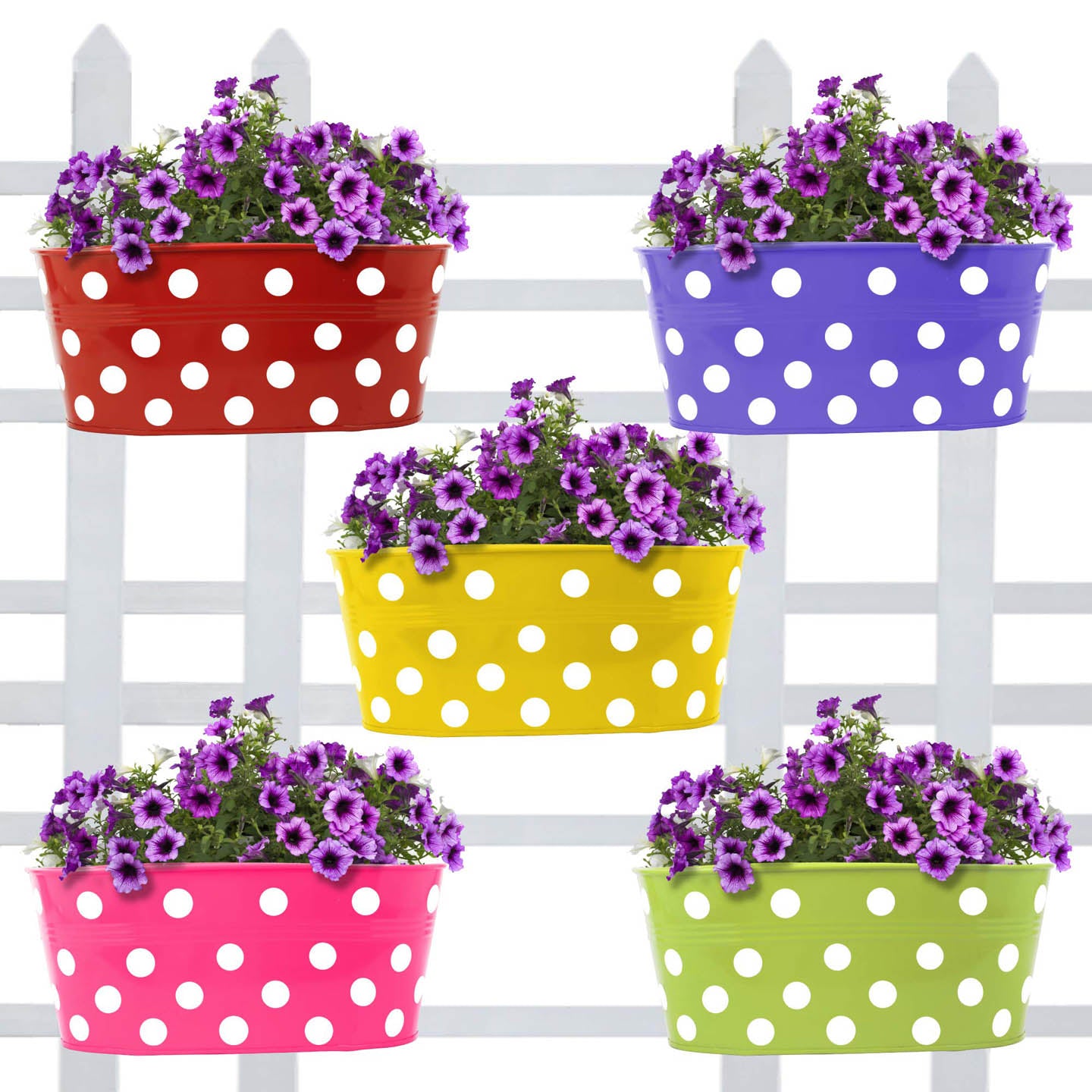 Galvanized Steel Dotted Oval Railing Planter Multicolour color 